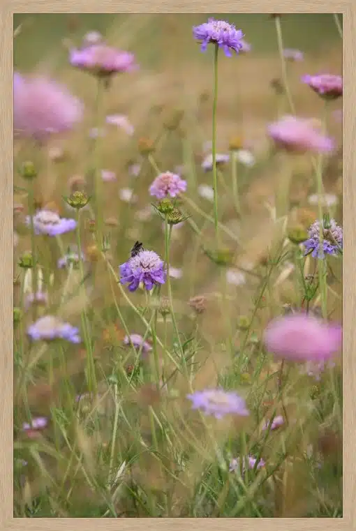 Print & Frame With Matboard & Glass