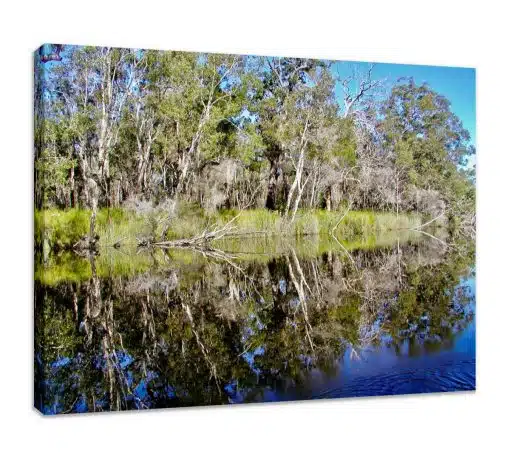 Canvas Print & Stretch