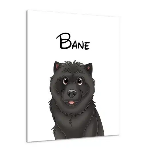 Canvas Print & Stretch