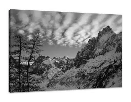 Canvas Print & Stretch