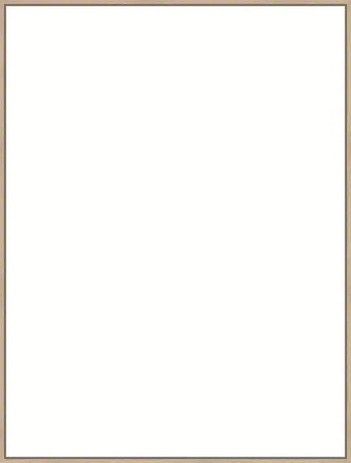 Frame Your Canvas Art
