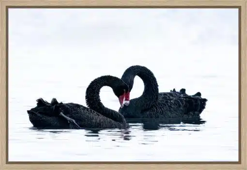 Frame Your Canvas Art