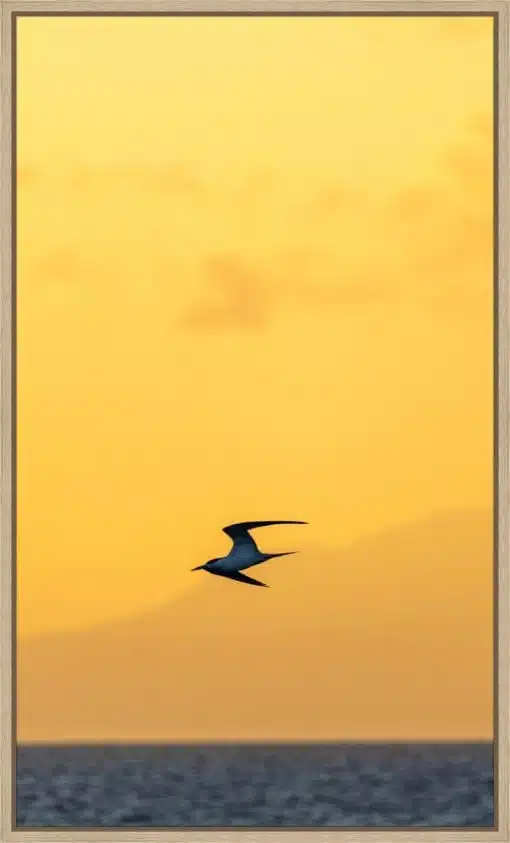 Canvas Print & Frame