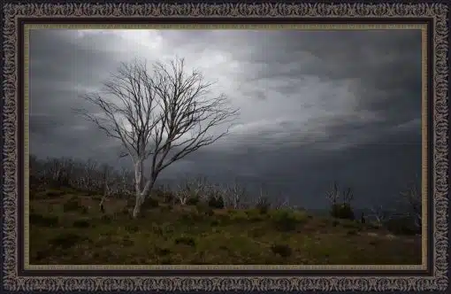 Print & Frame With Matboard & Glass