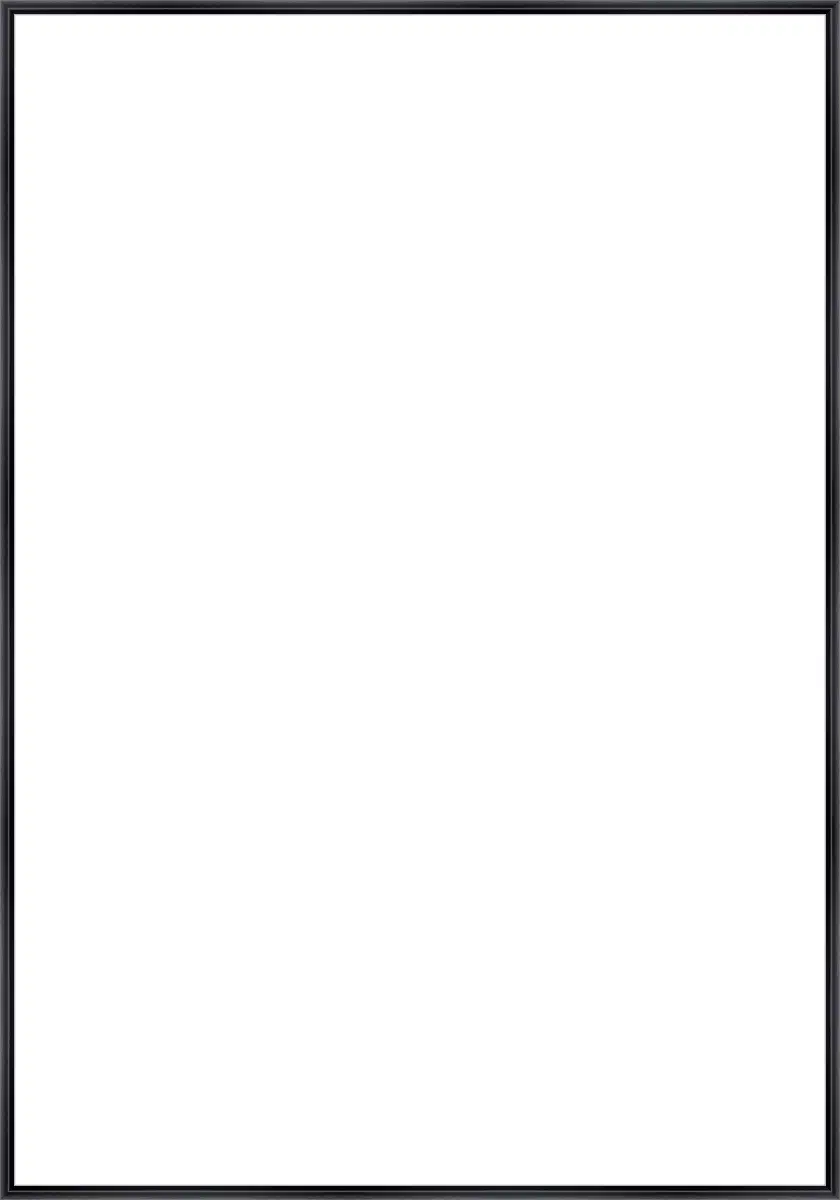 Frame Your Canvas Art