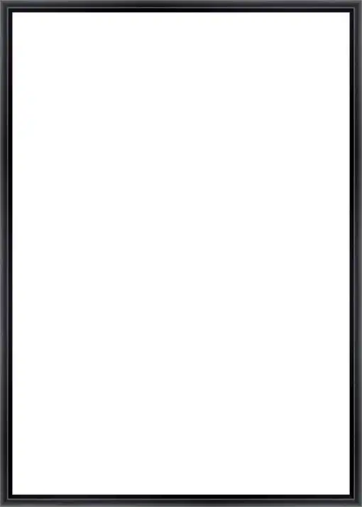 Frame Your Canvas Art