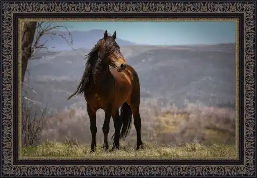 Print & Frame With Matboard & Glass