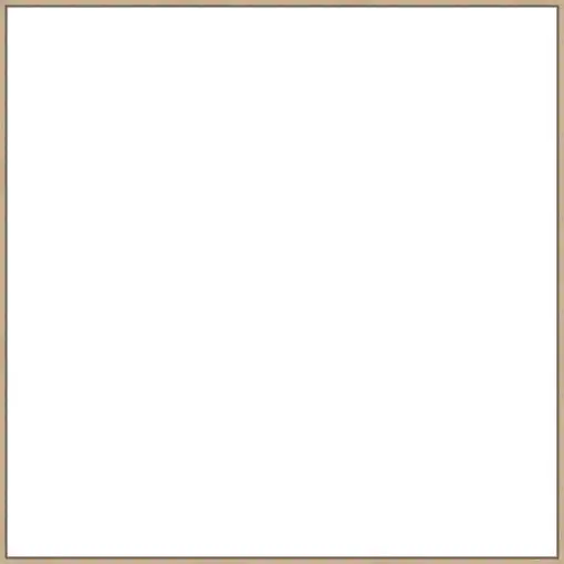 Frame Your Canvas Art