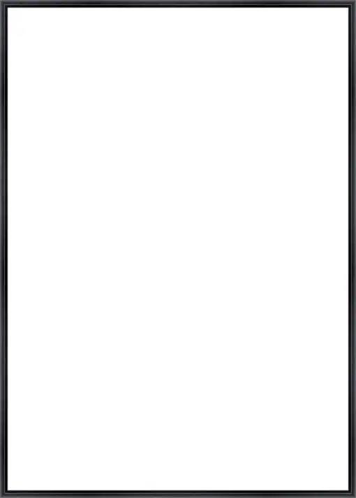 Frame Your Canvas Art