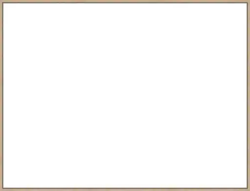 Frame Your Canvas Art