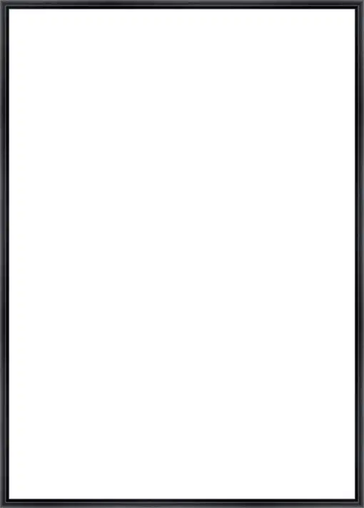 Frame Your Canvas Art