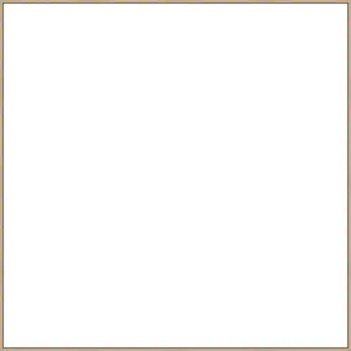 Frame Your Canvas Art