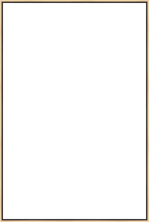 Frame Your Canvas Art