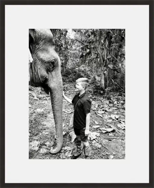 Print & Frame With Matboard & Glass