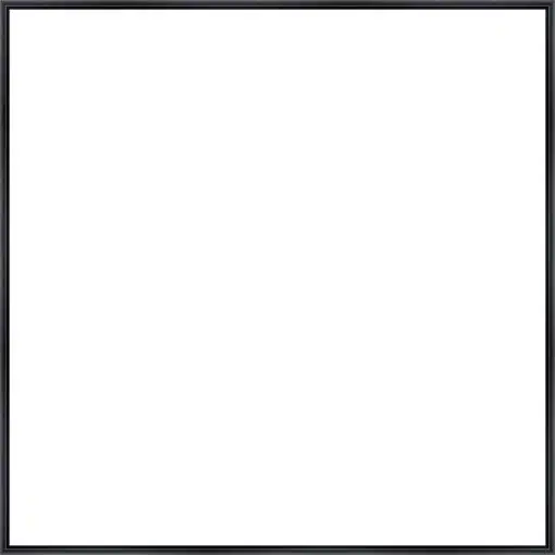 Frame Your Canvas Art