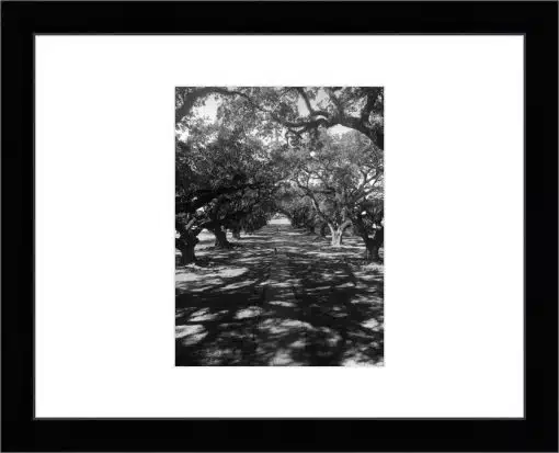Print & Frame With Matboard & Glass