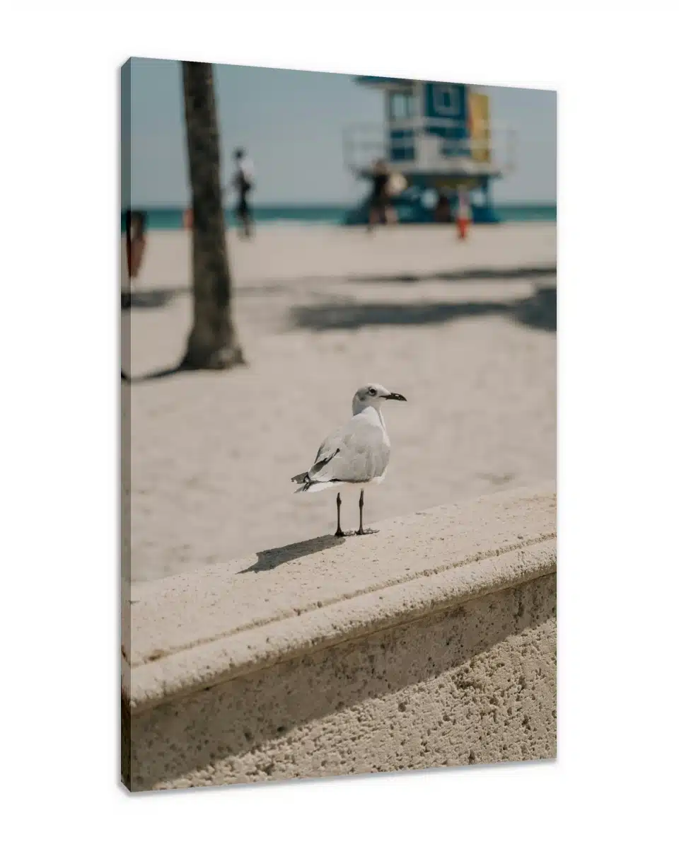 Canvas Print & Stretch