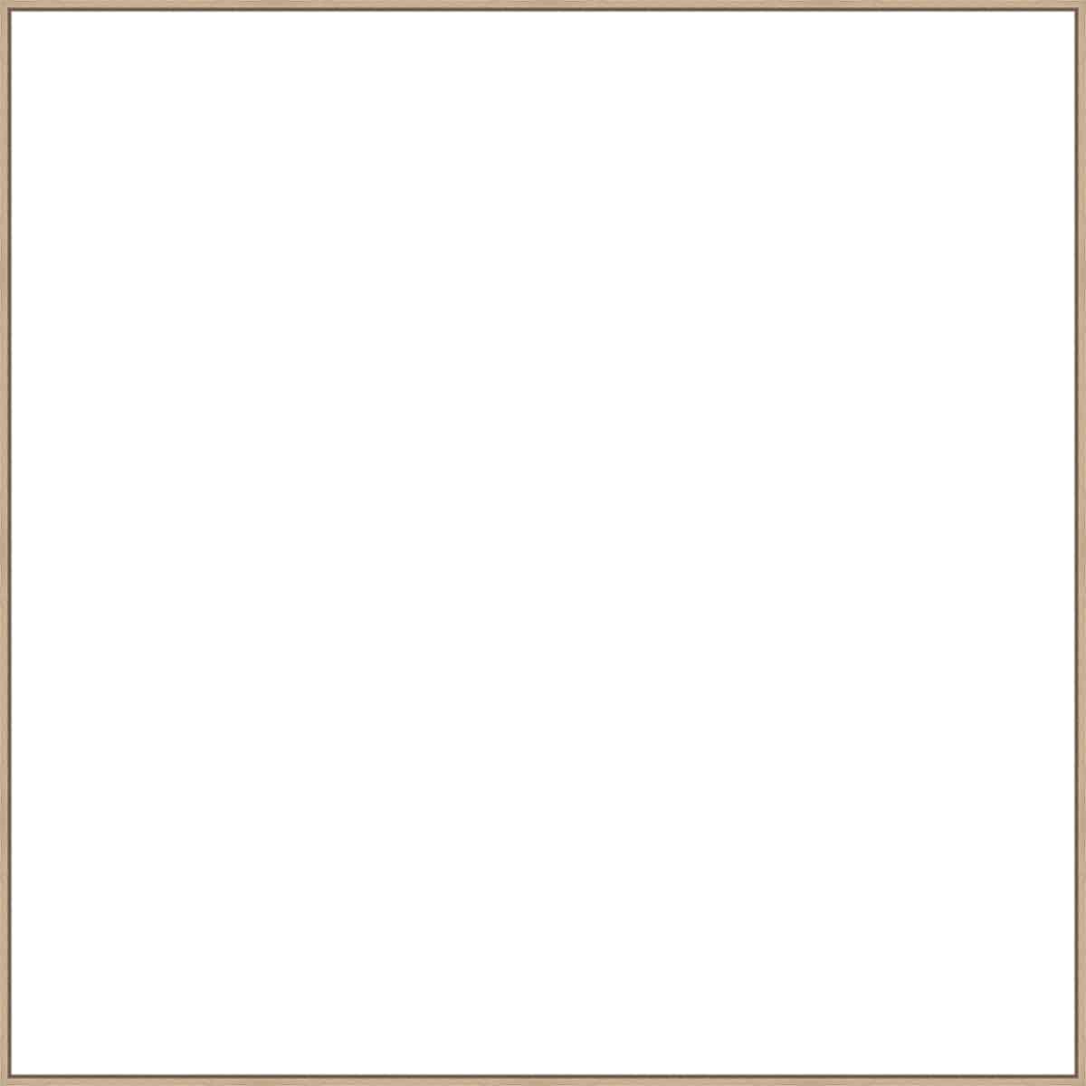 Frame Your Canvas Art