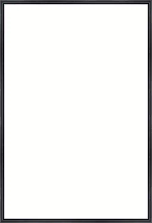 Frame Your Canvas Art