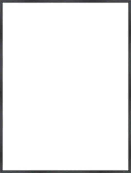 Frame Your Canvas Art