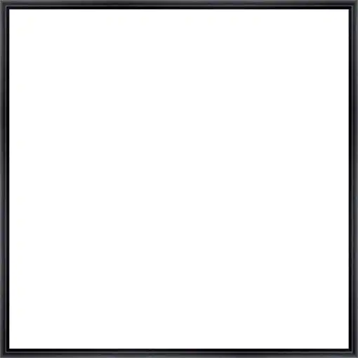 Frame Your Canvas Art