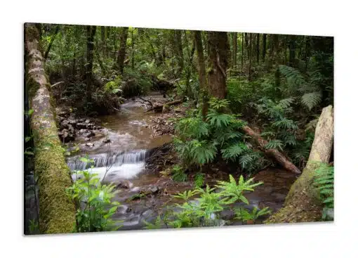 Canvas Print & Stretch