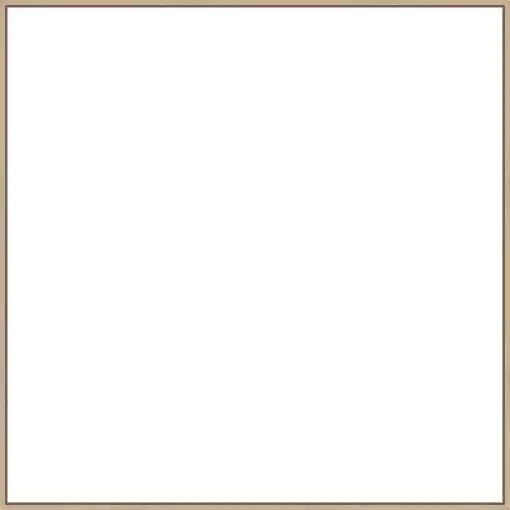 Frame Your Canvas Art