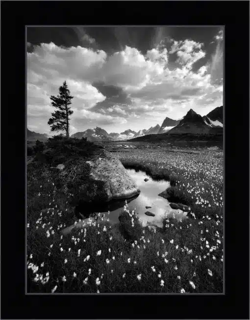 Print & Frame With Matboard & Glass