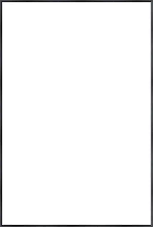 Frame Your Canvas Art
