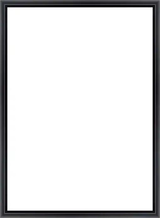 Frame Your Canvas Art