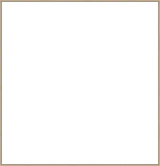 Frame Your Canvas Art