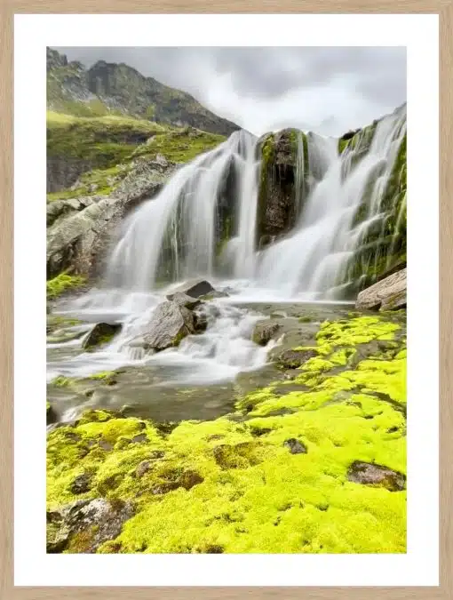 Print & Frame With Matboard & Glass