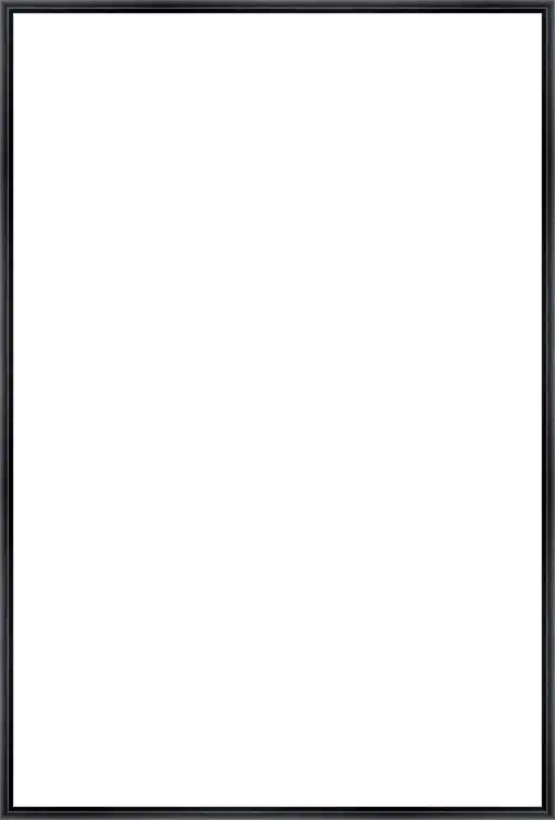 Frame Your Canvas Art