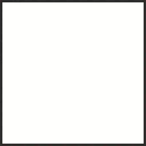 Frame Your Canvas Art