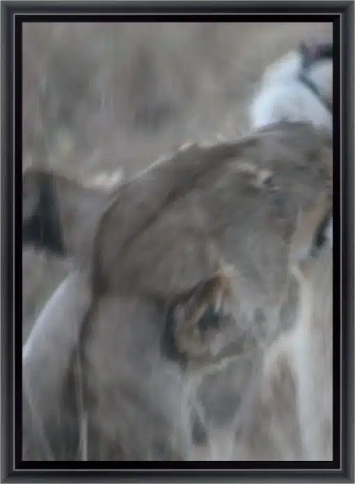 Frame Your Canvas Art