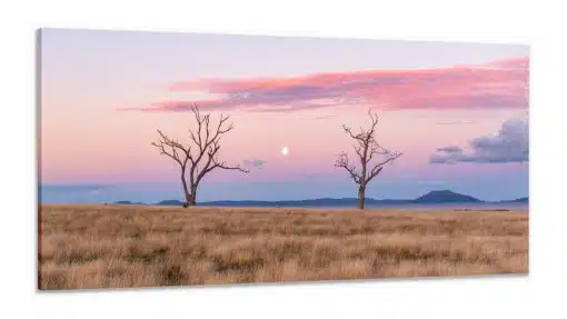 Canvas Print & Stretch
