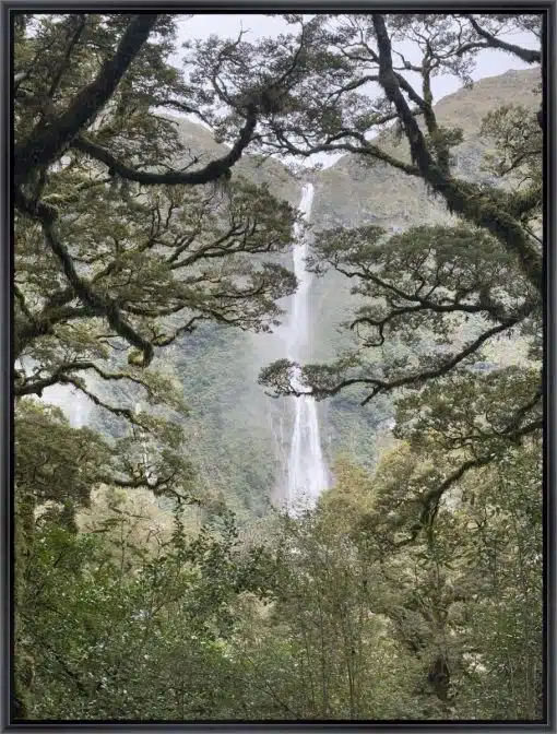 Canvas Print & Frame