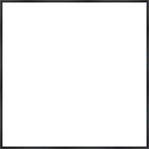 Frame Your Canvas Art