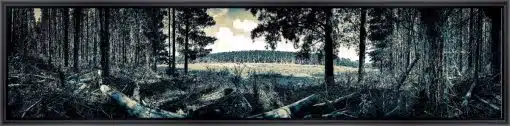 Frame Your Canvas Art