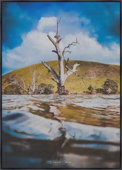 Frame Your Canvas Art