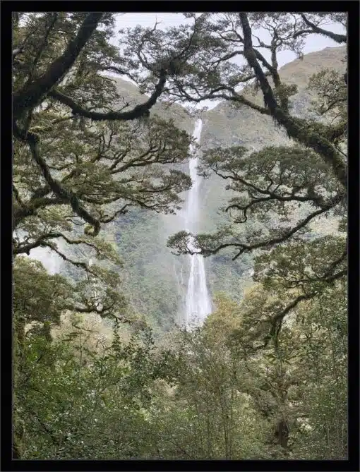 Canvas Print & Frame