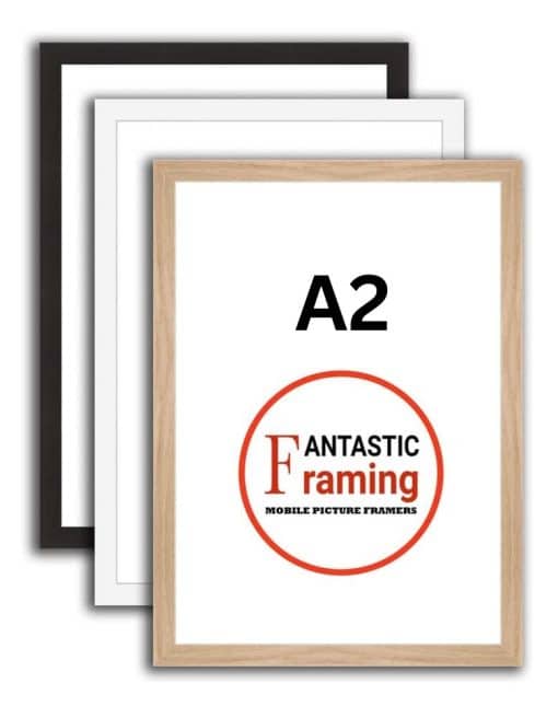 a2 product