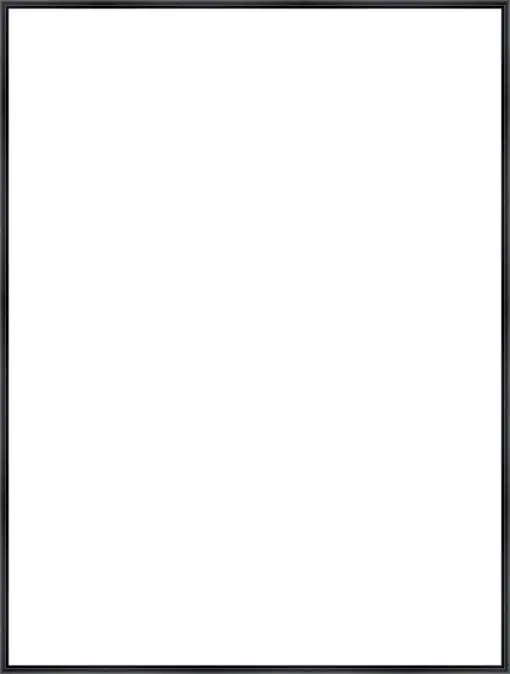 Frame Your Canvas Art