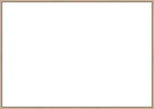 Frame Your Canvas Art