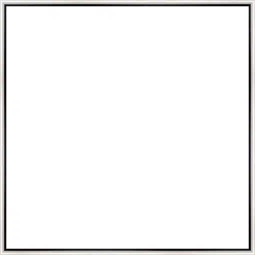 Frame Your Canvas Art