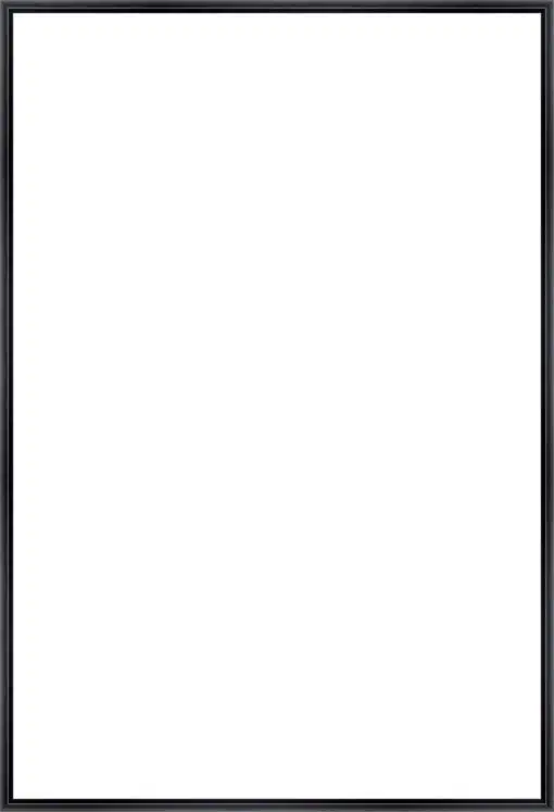 Frame Your Canvas Art
