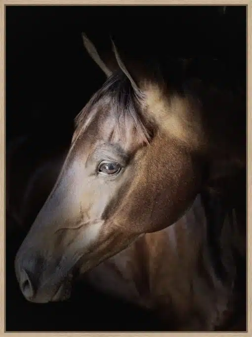 Canvas Print & Frame
