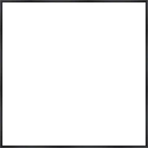 Frame Your Canvas Art