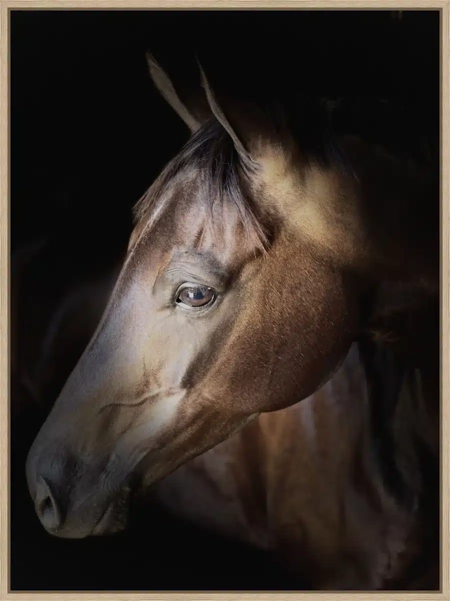 Canvas Print & Frame