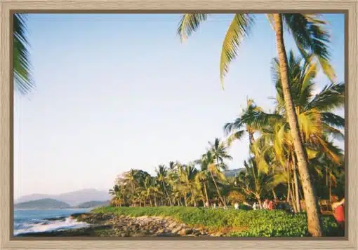 Canvas Print & Frame